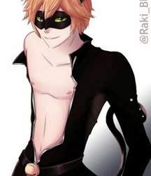 Chat Noir 5da11bdea0db6.jpg