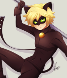 Chat Noir 5da11be780c33.png