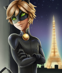 Chat Noir 5da11becb68d0.png