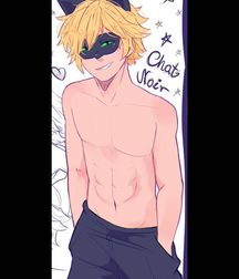 Chat Noir 5da11bee628fb.jpg