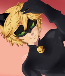 Chat Noir 5da11bf201ef4.jpg