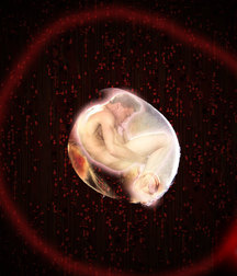Wallpaper4 591b6c987493f.jpg