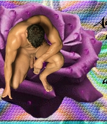 Wallpaper4 591b6cbb215bc.jpg