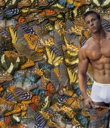 Wallpaper4 591b6df00249a.jpg