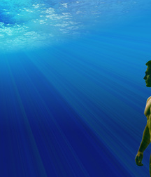 Wallpaper4 591b6ea8b03fd.jpg