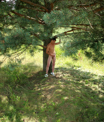 Simon and the tree 5baeb74546364.jpg