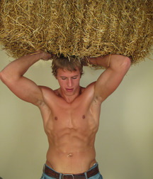 Down on the farm 5bafb52fc5c66.jpg