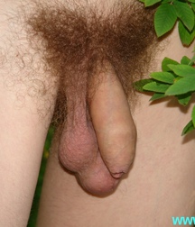 Penis Paradise 1 5bc4ece2e7fab.jpg