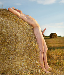 Jaroslav, after the corn harvest ***** 5be9c9f051ca4.jpg