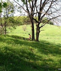 Vova in the meadow 5e0a66672b4cb.jpg