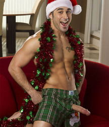 Christmas 2020 Gay Tube 5fe3f9bc4e355.jpg