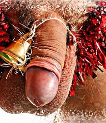 Christmas 2020 Gay Tube 5fe3f9c471873.jpg