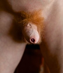 Red twink shows all 591f35b3398bc.jpg