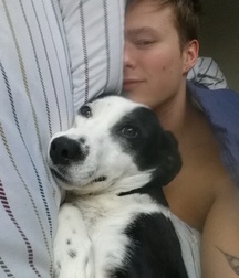 My Collection (Best of 10 Years) 594d6079da84b.jpg