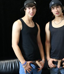 Twins 596b9f483db8a.jpg