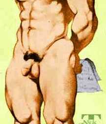 El arte de Harry Bush 59c7f1fa0c001.jpg