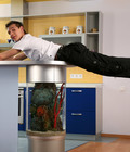  Miguel the counter cat 5a75e9cda4fcf.jpg