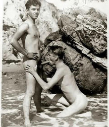 Vintage cocksuckers  5a983f04d5ea8.jpg