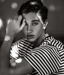 La belleza de los muchachos 5adfa554be0ce.png