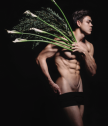 Tell him with flowers 5af6ee4451248.png