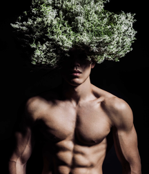 Tell him with flowers 5af6ee4ba17f2.png