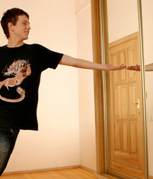 Steve 1 (Steve and his mirror alter ego) 5c501d694696a.jpg
