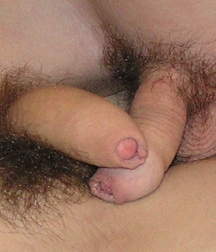 Dicks and balls 5c7102ccb1c3a.jpg