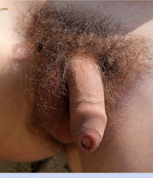 Dicks and balls 5c87f64fc380c.jpg