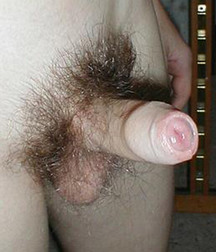 my favs cocks 5929a8c25884d.jpg