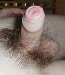 my favs cocks 5929a8c3a652b.jpg