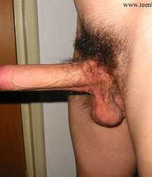 my favs cocks 5929a8d9dda98.jpg