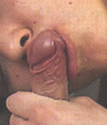 Suck 01 592a990c2a2ee.jpg