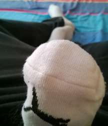 One Lucky White Sock 5ccb9128b94b2.jpg