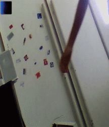Caio 592ff381ed3fe.gif