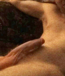 Mix of Pictures and Gifs No.2 5934278abf008.jpg