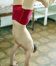 Mix of Pictures No.33 593c712bcf1e2.jpg