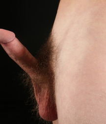 Mix of Pictures No.37 593c9d4037b4f.jpg