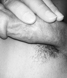 Mix of Pictures No.41 593d671530b02.jpg