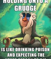 Mix of Pictures and Gifs No.6 593fecf11cc10.jpg