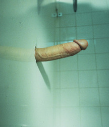 Mix of Pictures and Gifs No.12 594069c32f3f0.jpg