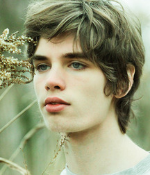 Mix of Pictures and Gifs No.24 5949c04061849.jpg