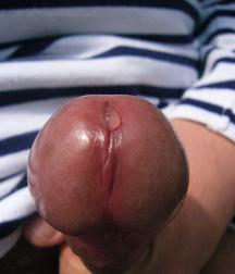 Mix of Pictures and Gifs No.26 594a5539d79e7.jpg