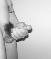 Mix of Pictures and Gifs No.27 594aa33af1a8c.jpg