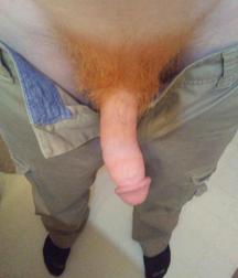 Mix of Pictures and Gifs No.38 59503f1a0df15.jpg