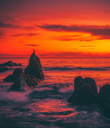 Mix of Pictures No.40 5954e65e9c786.jpg