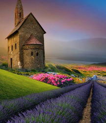 Mix of Pictures No.40 5954e8994bc09.jpg