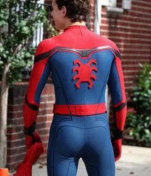 Amazing Spiderman!   59668442a6adb.jpg