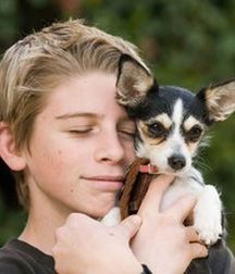 Sexy Boys 81!!  Dog Daze! 5ad3c67be4070.jpg