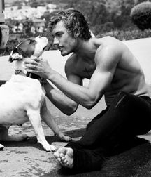 Sexy Boys 81!!  Dog Daze! 5ad3c67d4b322.jpg