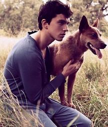 Sexy Boys 81!!  Dog Daze! 5ad3c682b02aa.jpg